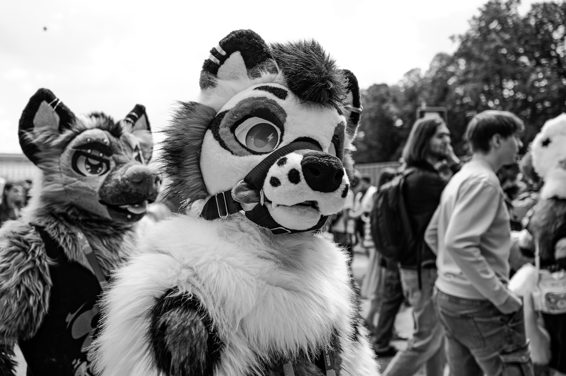 Czarno biały reportaż z warszawskiego Furwalk 2026. Fot. Maciej Niedzielski